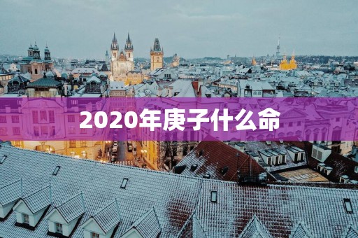 2025年庚子什么命