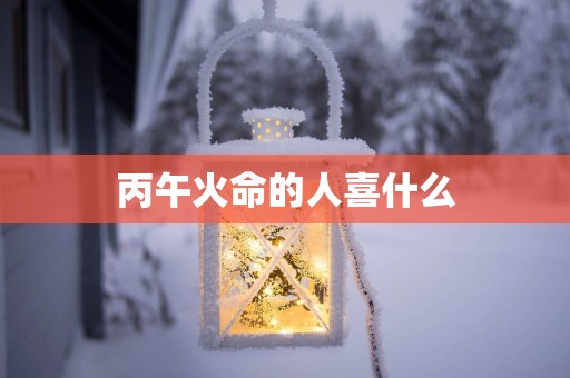 丙午火命的人喜什么