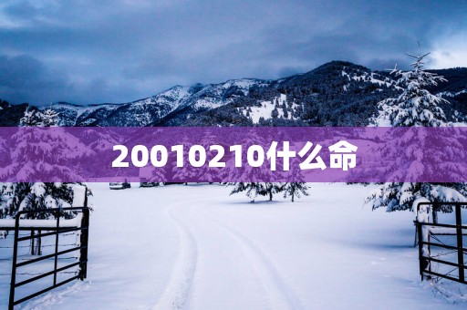 20010210什么命