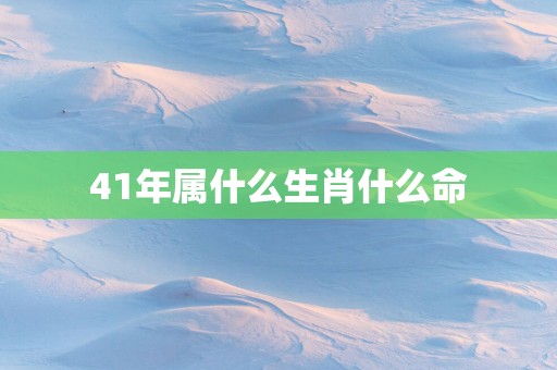 41年属什么生肖什么命