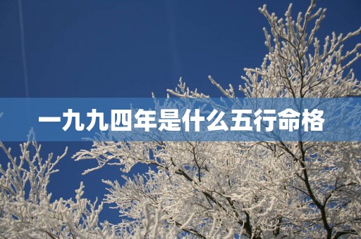 一九九四年是什么五行命格