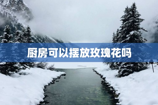厨房可以摆放玫瑰花吗