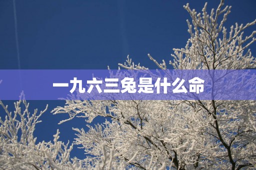 一九六三兔是什么命