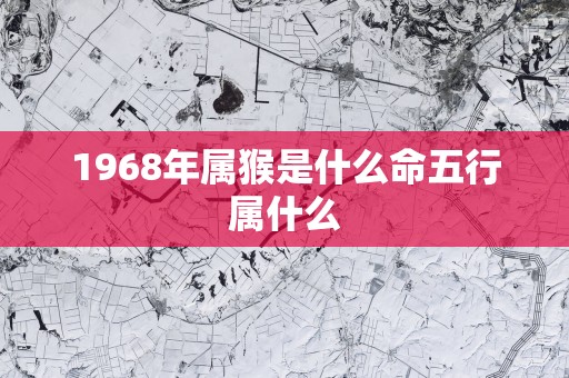 1968年属猴是什么命五行属什么