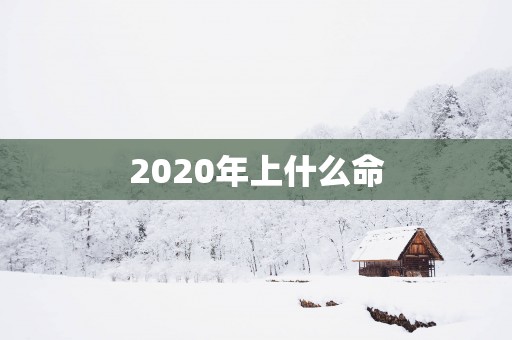 2025年上什么命