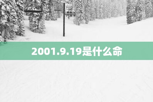 2001.9.19是什么命