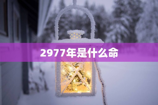2977年是什么命