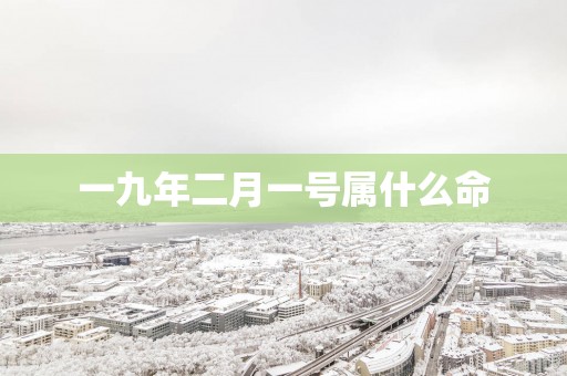 一九年二月一号属什么命