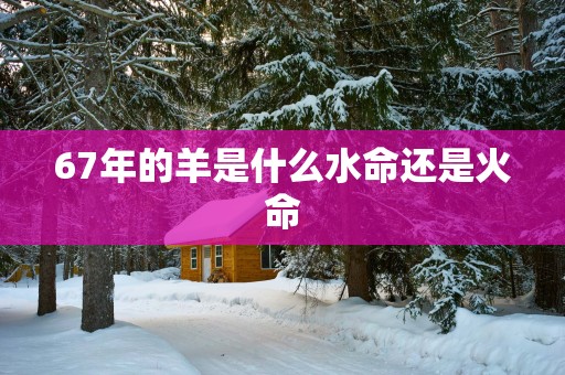 67年的羊是什么水命还是火命