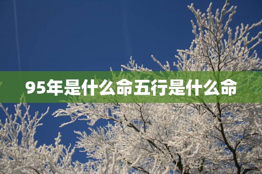 95年是什么命五行是什么命