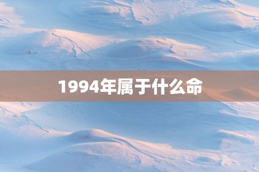 1994年属于什么命
