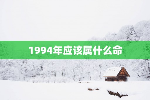 1994年应该属什么命