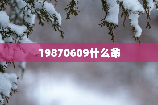 19870609什么命