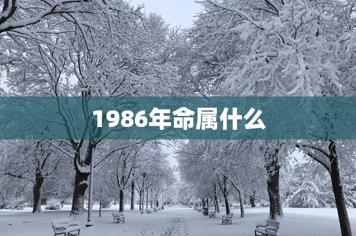 1986年命属什么
