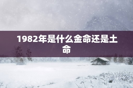 1982年是什么金命还是土命