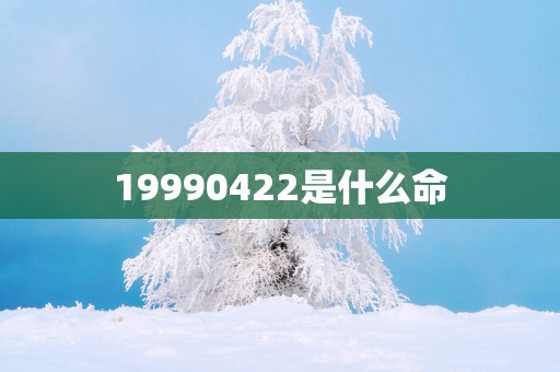 19990422是什么命