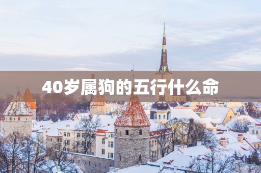 40岁属狗的五行什么命