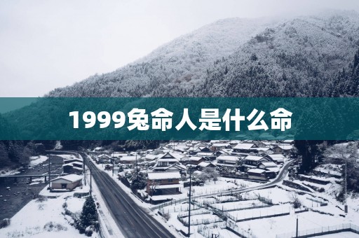 1999兔命人是什么命