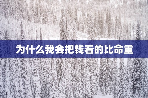 为什么我会把钱看的比命重