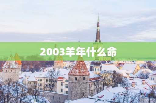 2003羊年什么命
