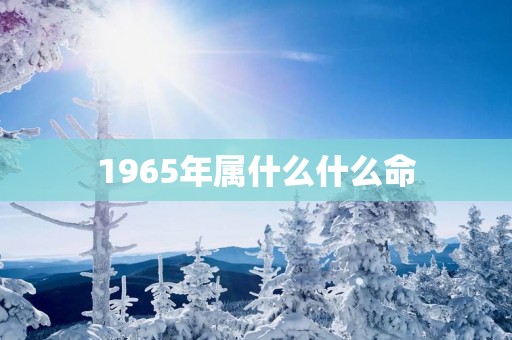 1965年属什么什么命