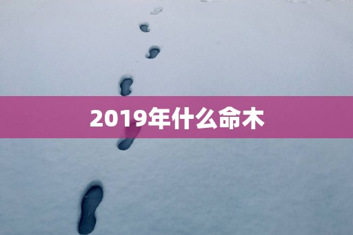 2019年什么命木