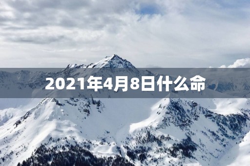 2025年4月8日什么命