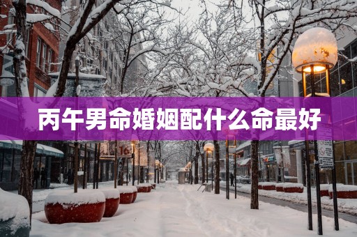丙午男命婚姻配什么命最好