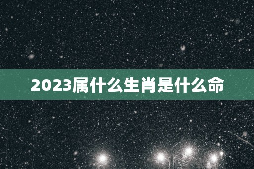 2025属什么生肖是什么命
