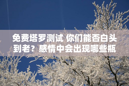 免费塔罗测试 你们能否白头到老？感情中会出现哪些瓶颈？