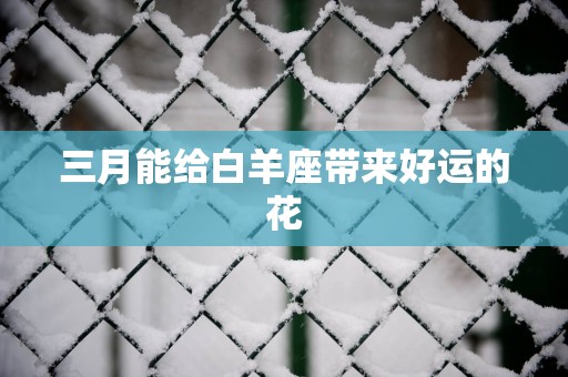 三月能给白羊座带来好运的花