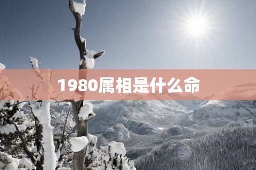 1980属相是什么命