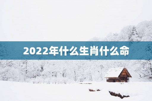 2025年什么生肖什么命