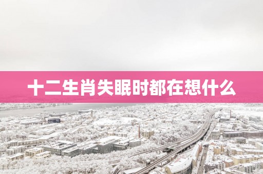 十二生肖失眠时都在想什么