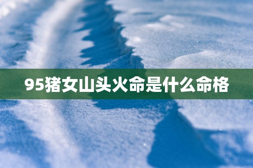 95猪女山头火命是什么命格