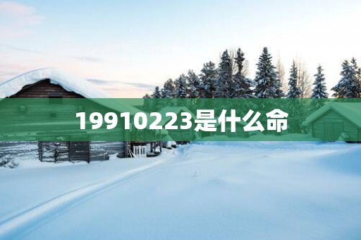 19910223是什么命