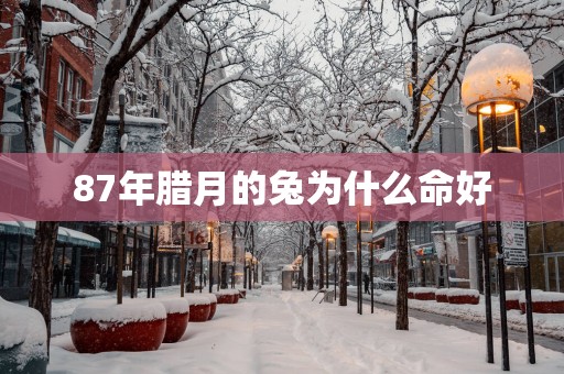 87年腊月的兔为什么命好