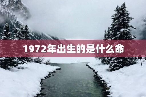 1972年出生的是什么命