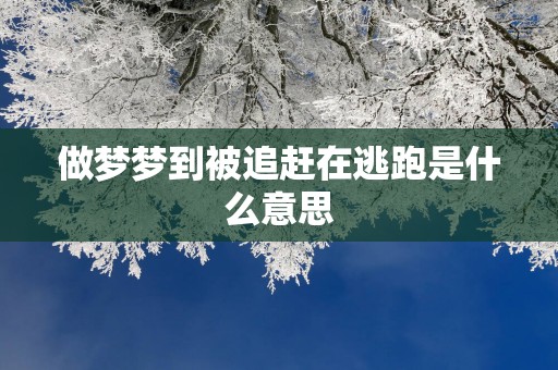 做梦梦到被追赶在逃跑是什么意思