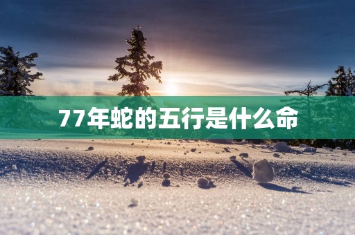 77年蛇的五行是什么命