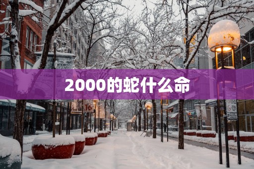 2000的蛇什么命