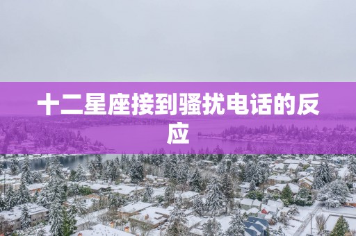 十二星座接到骚扰电话的反应