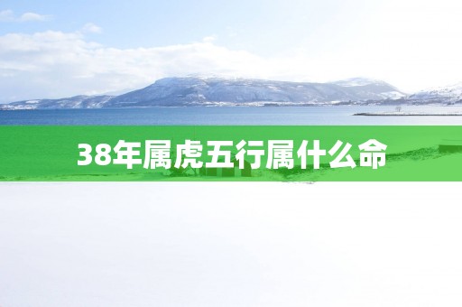 38年属虎五行属什么命