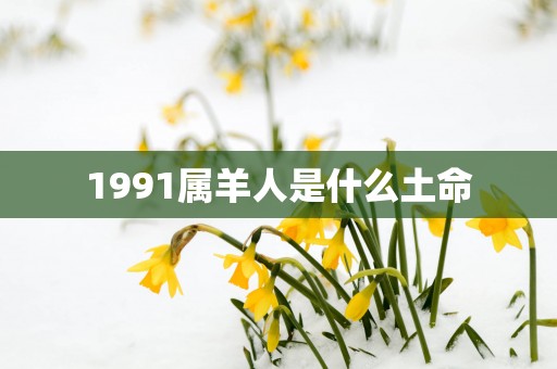 1991属羊人是什么土命