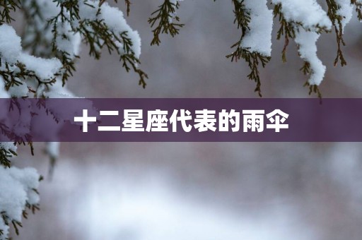 十二星座代表的雨伞