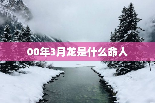 00年3月龙是什么命人