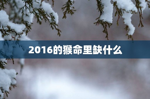 2016的猴命里缺什么