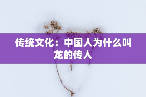 传统文化：中国人为什么叫龙的传人