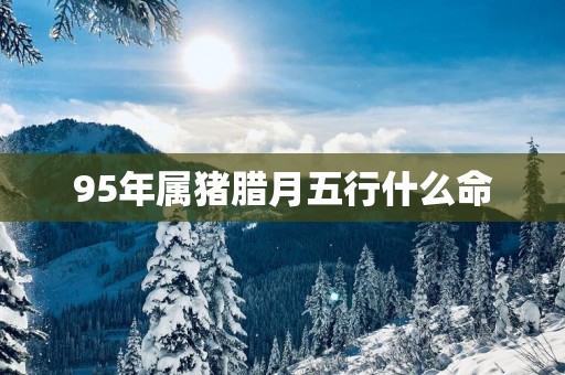 95年属猪腊月五行什么命