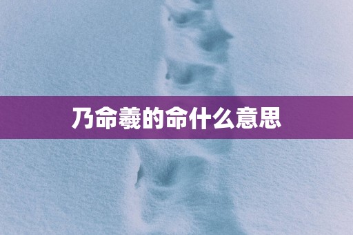 乃命羲的命什么意思